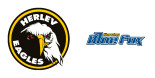 Herlev Eagles vs Herning Blue Fox